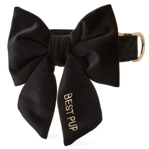Black Velvet Lady Bow Collar