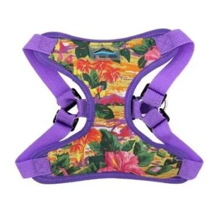 Wrap and Snap Choke Free Dog Harness - Sunset Hibiscus