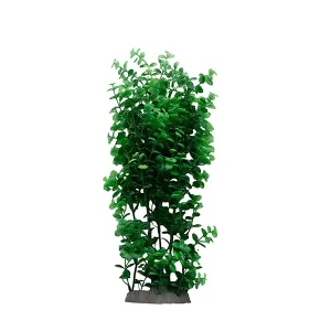 LiveAquaria® 14"; Upright Background Plant
