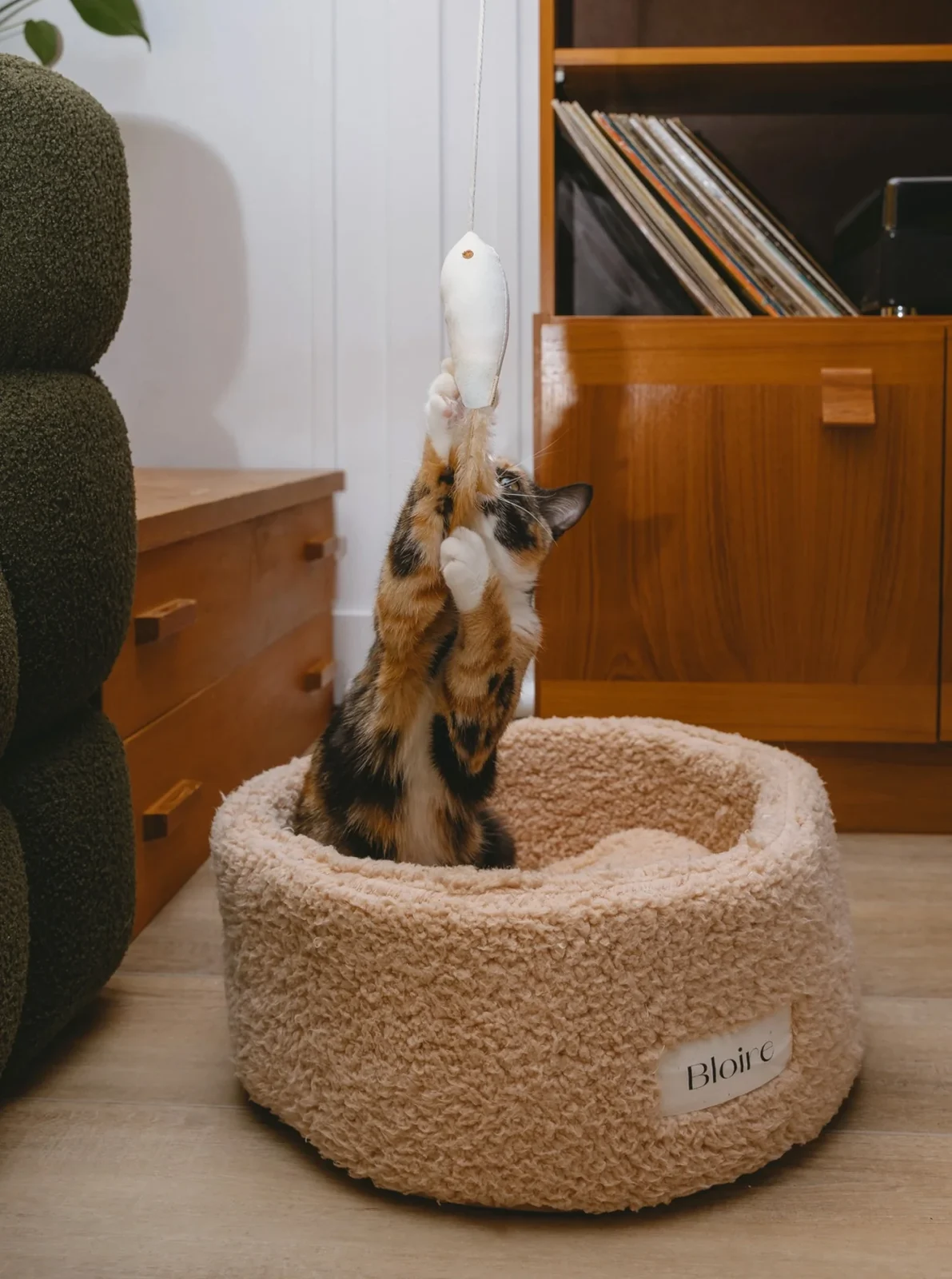 GOLDEN FISH CAT TOY - Image 2