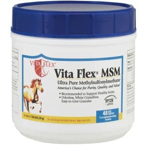 Vita Flex MSM (1 lb)