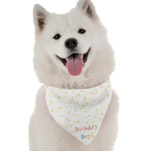 Birthday Boy Dog Bandana by Bandoggies