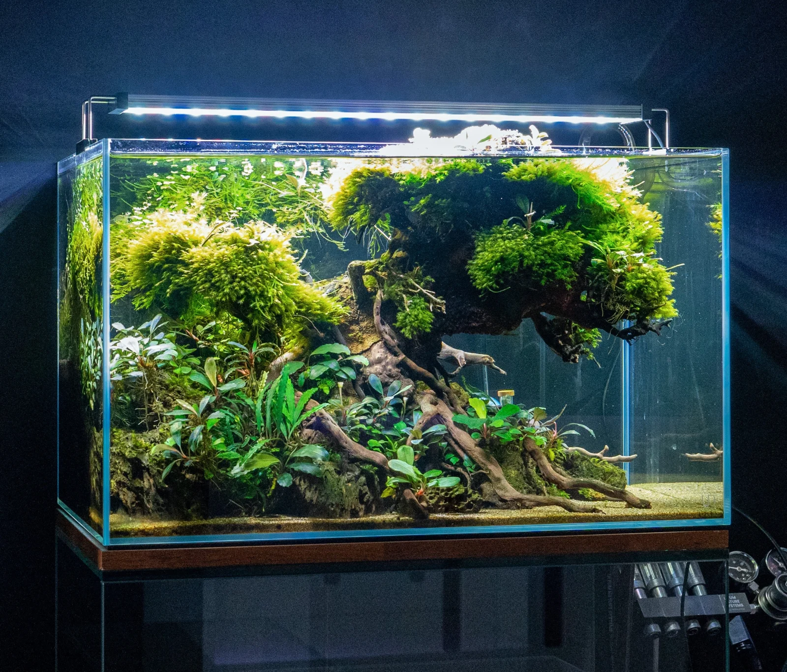 Twinstar LED - B Line Aquarium Light Fixture - Image 2