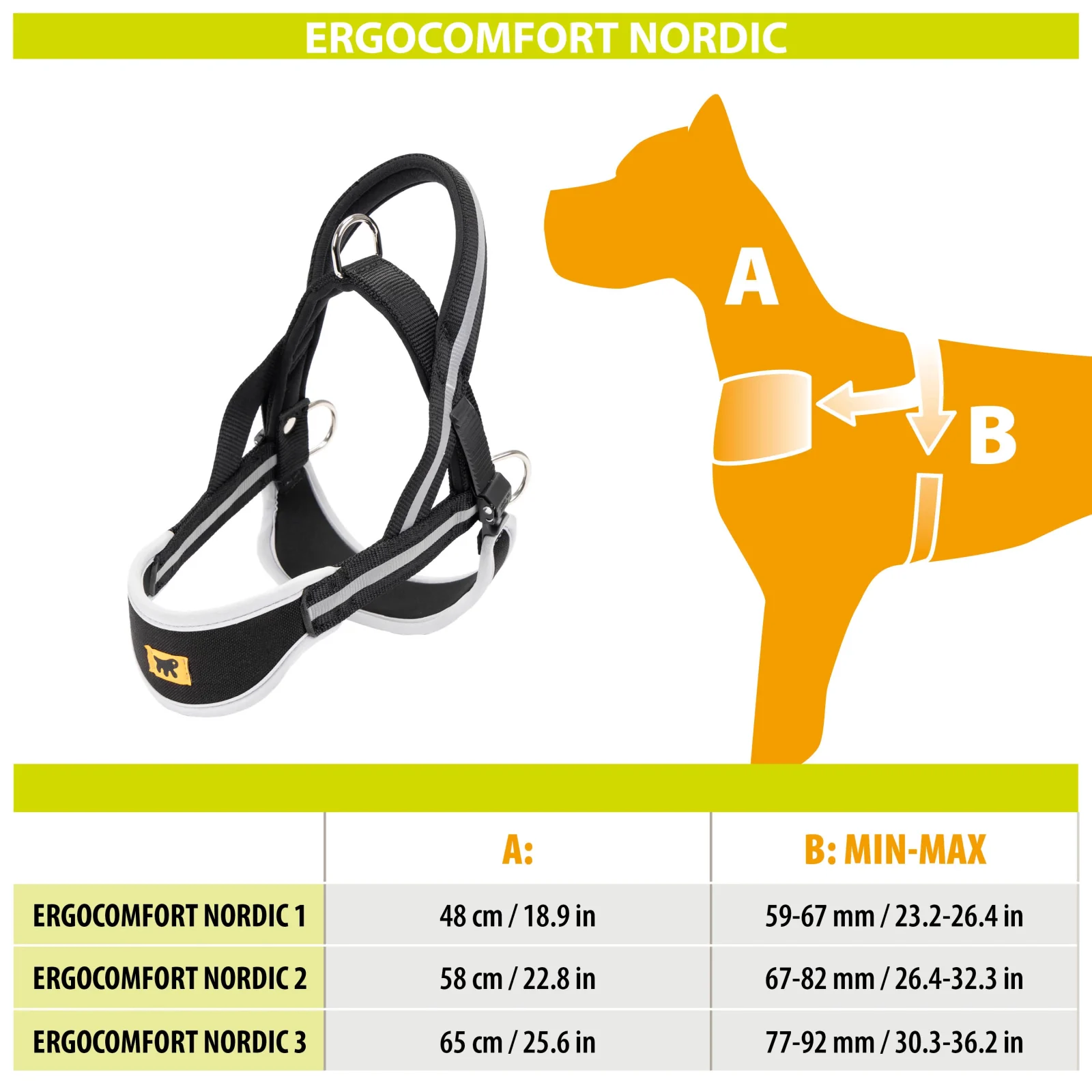 ERGOCOMFORT NORDIC - Image 2