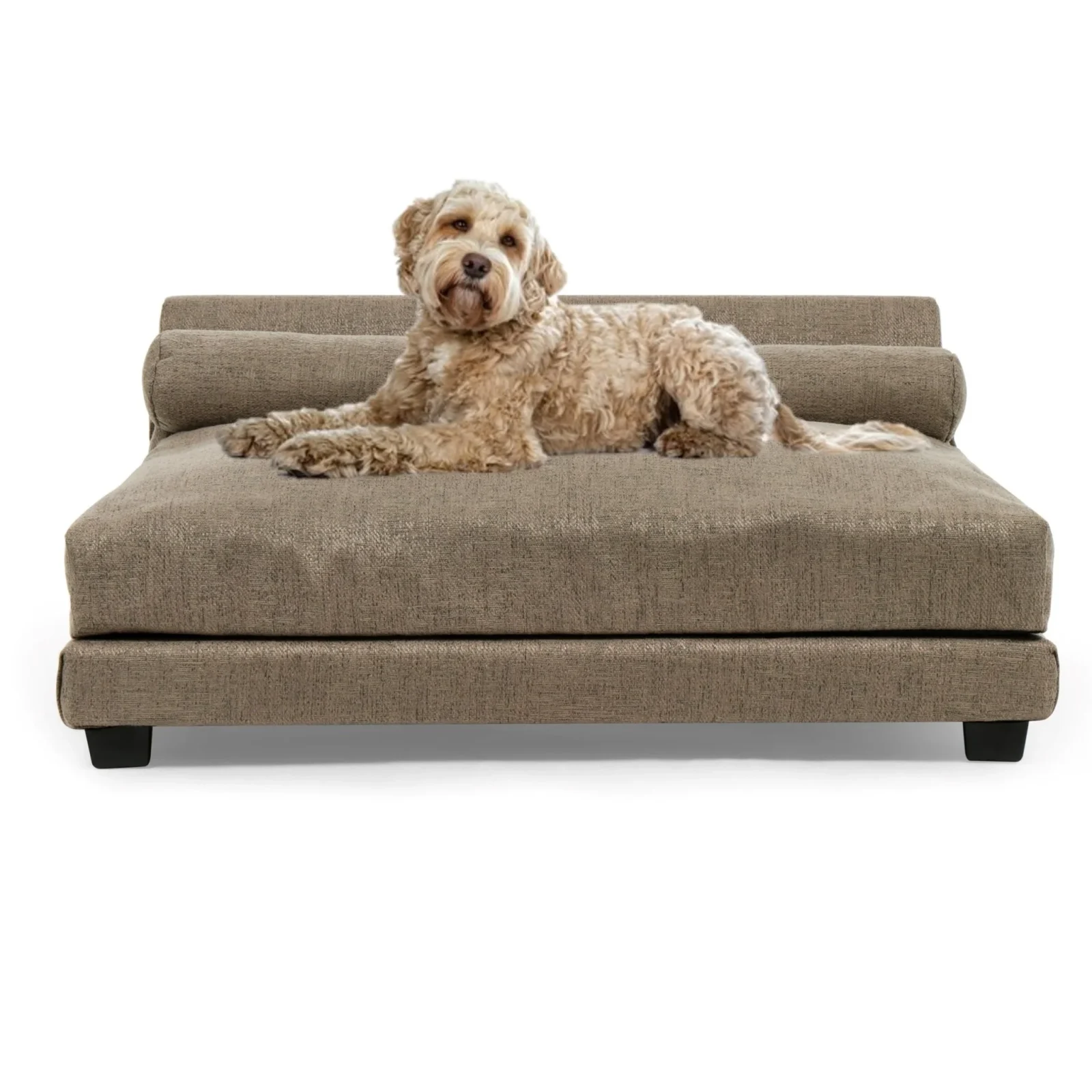 Club Nine Pets Roma Orthopedic Dog Bed in Earth