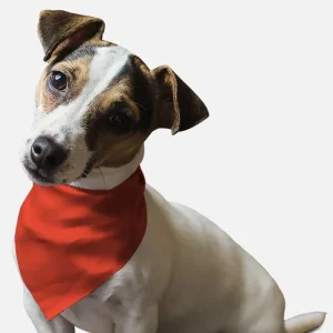 Fire Hydrant Red Dog Bandana by BanDoggie