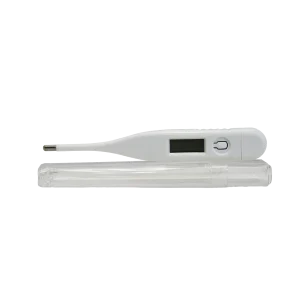 Digital Thermometer