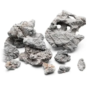 Wolf Stone