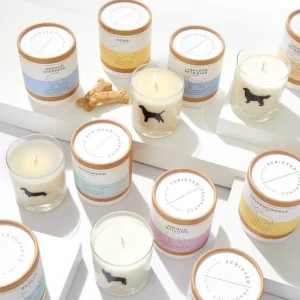 Scripted Fragrance Candle