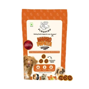 Floofyou Mango Papaya Vegan Oven Baked Cookie Dog Treats
