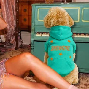 Star of the Show Hoodie