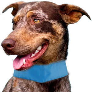 Pet Life ® 'Summer-Cooling' Ice Insertable and Adjustable Cooling Dog Neck Wrap