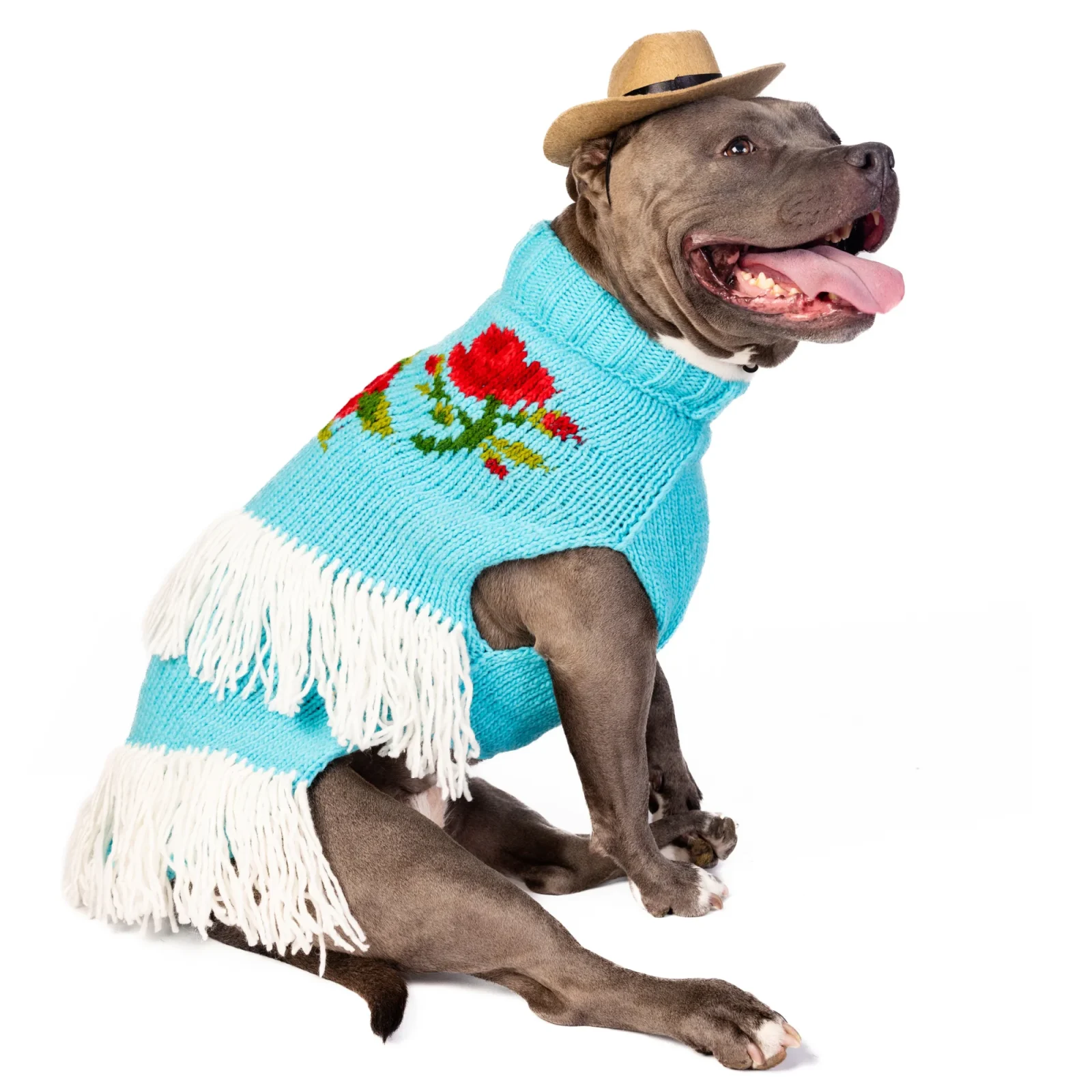 Rodeo Dog Sweater - Image 2