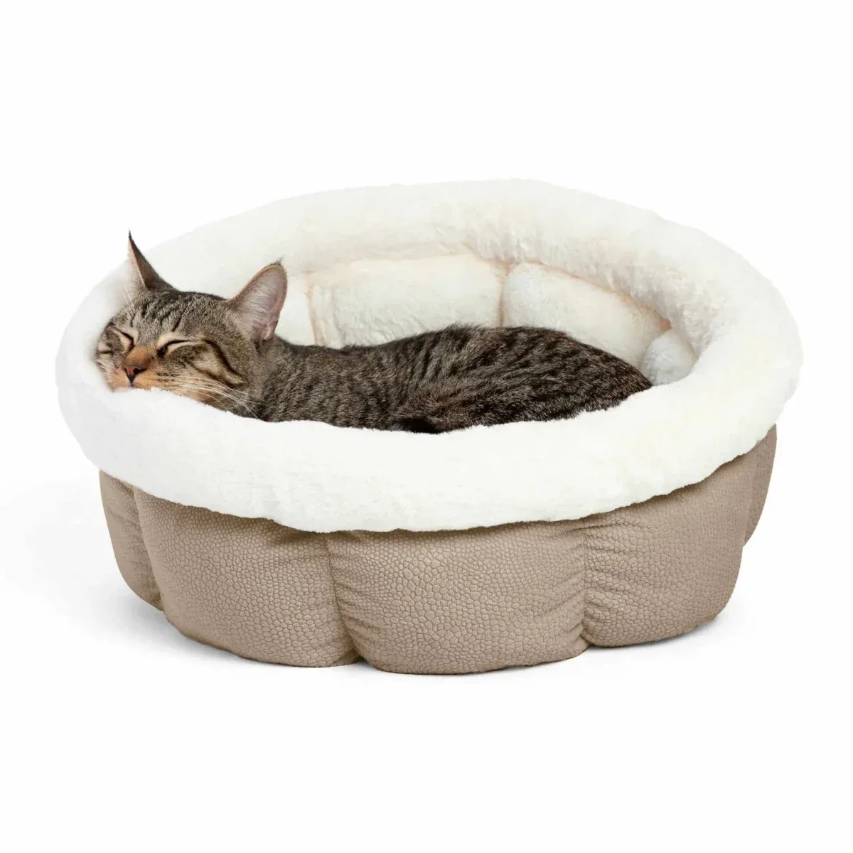 Best Friends by Sheri Cuddle Cup Ilan - Image 2