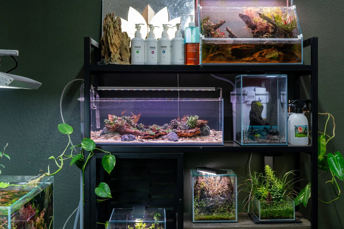 UNS 60L - 6.3 Gallon Ultra Clear Rimless Aquarium - Image 2