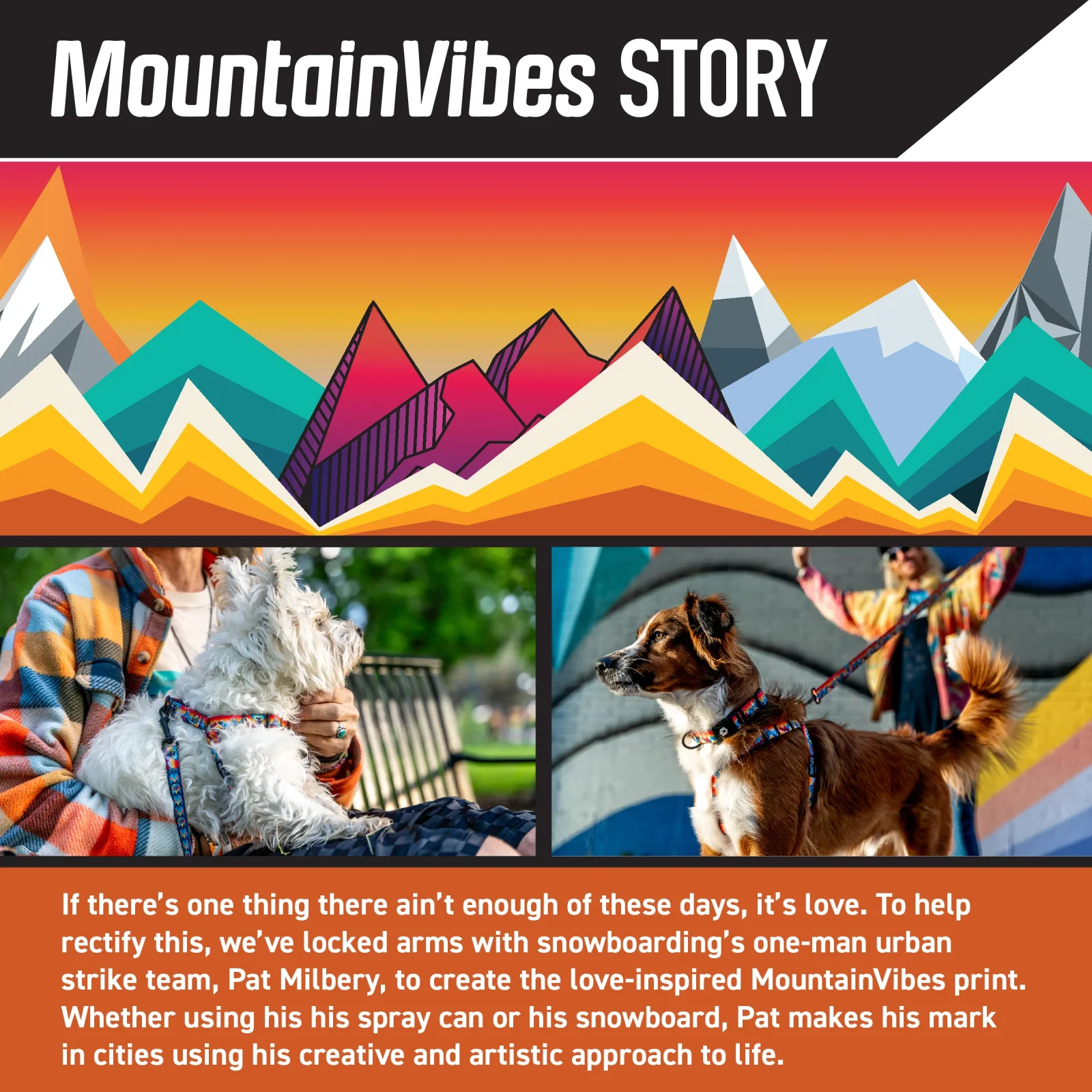 MountainVibes Dog Leash - Image 2