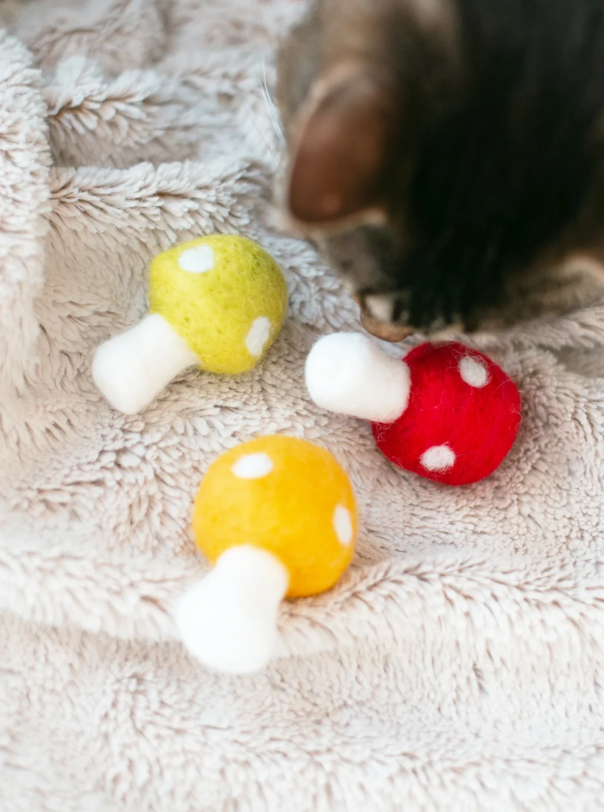 SHROOMS CAT TOY SET - Image 2