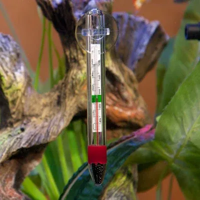 Hagen Glass Thermometer - Image 2