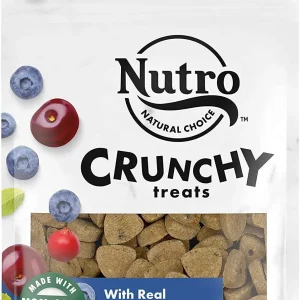 Nutro Mixed Berry Crunchy Biscuit Dog Treats - 10 oz - Case of 6