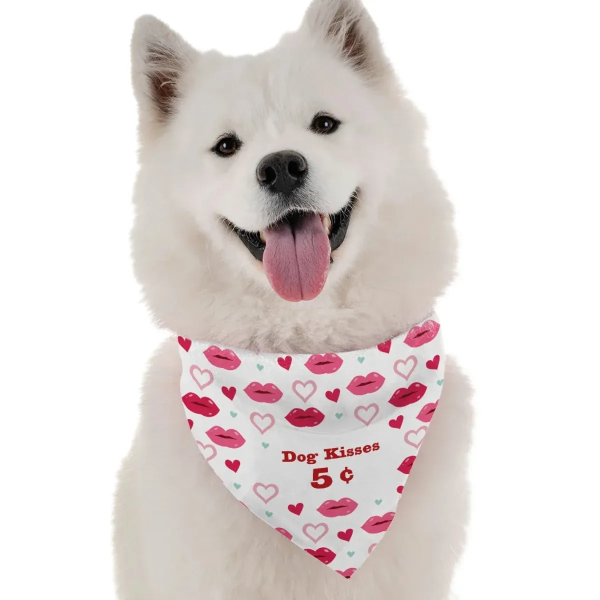 Dog Kisses 5 Cents Dog Bandana by BanDoggie - Image 2