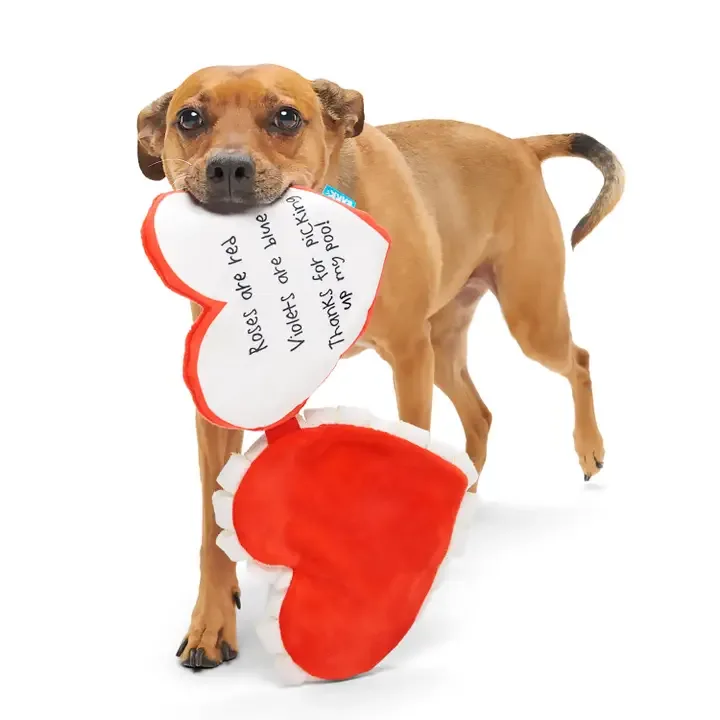 Bark Valentine's Be Mine Growlentine Plush Dog Toy - Image 2