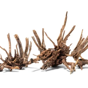 Nano Horn Wood