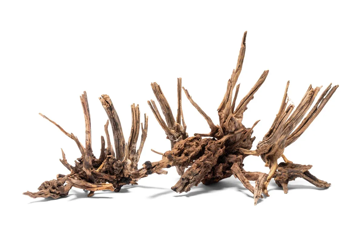 Nano Horn Wood