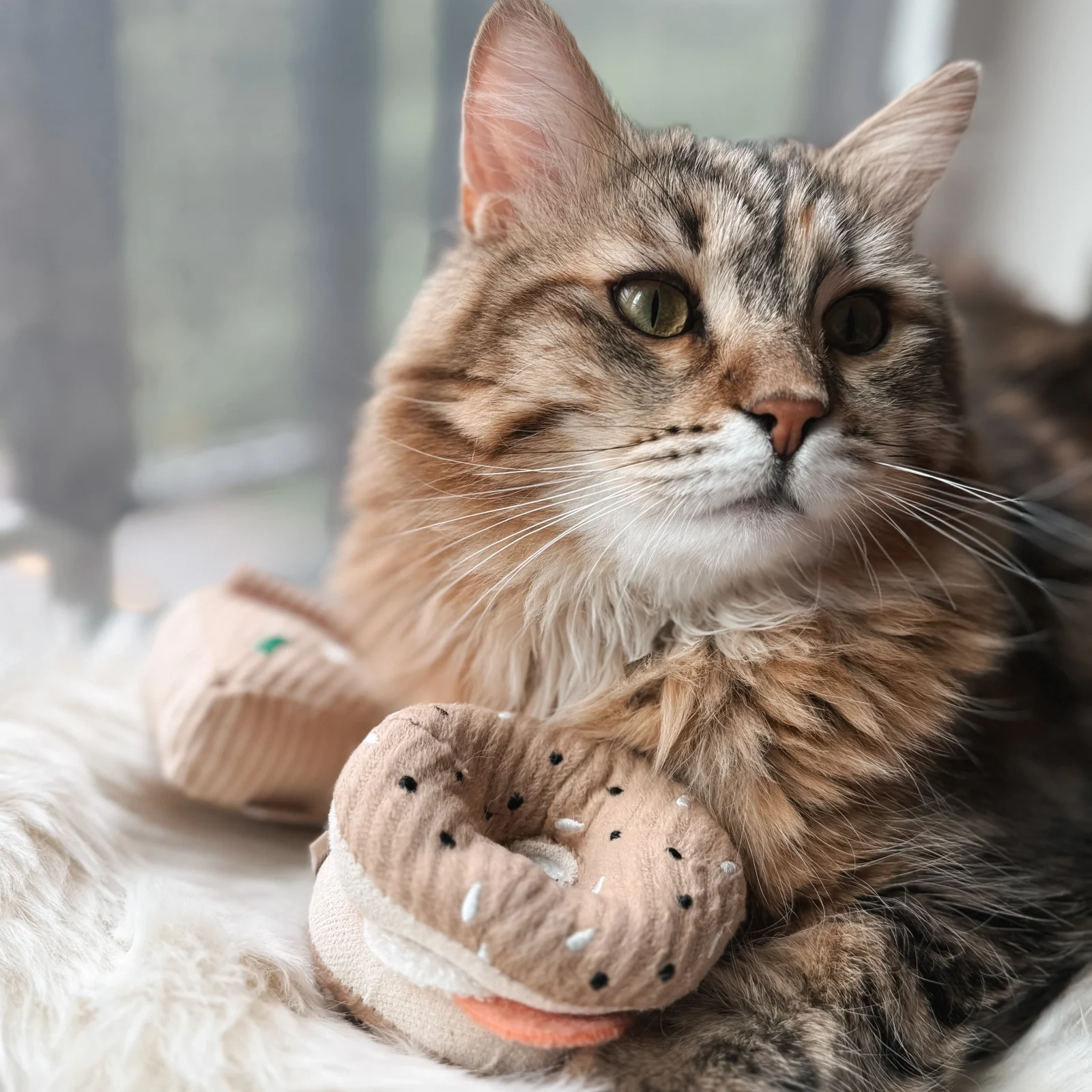 KITTY PIZZA & BAGEL SET - Image 2