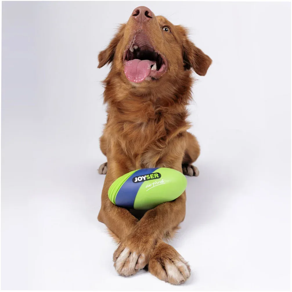 Joyser Active TPU Rugby Ball for Dogs (Blue/Green) - Image 2