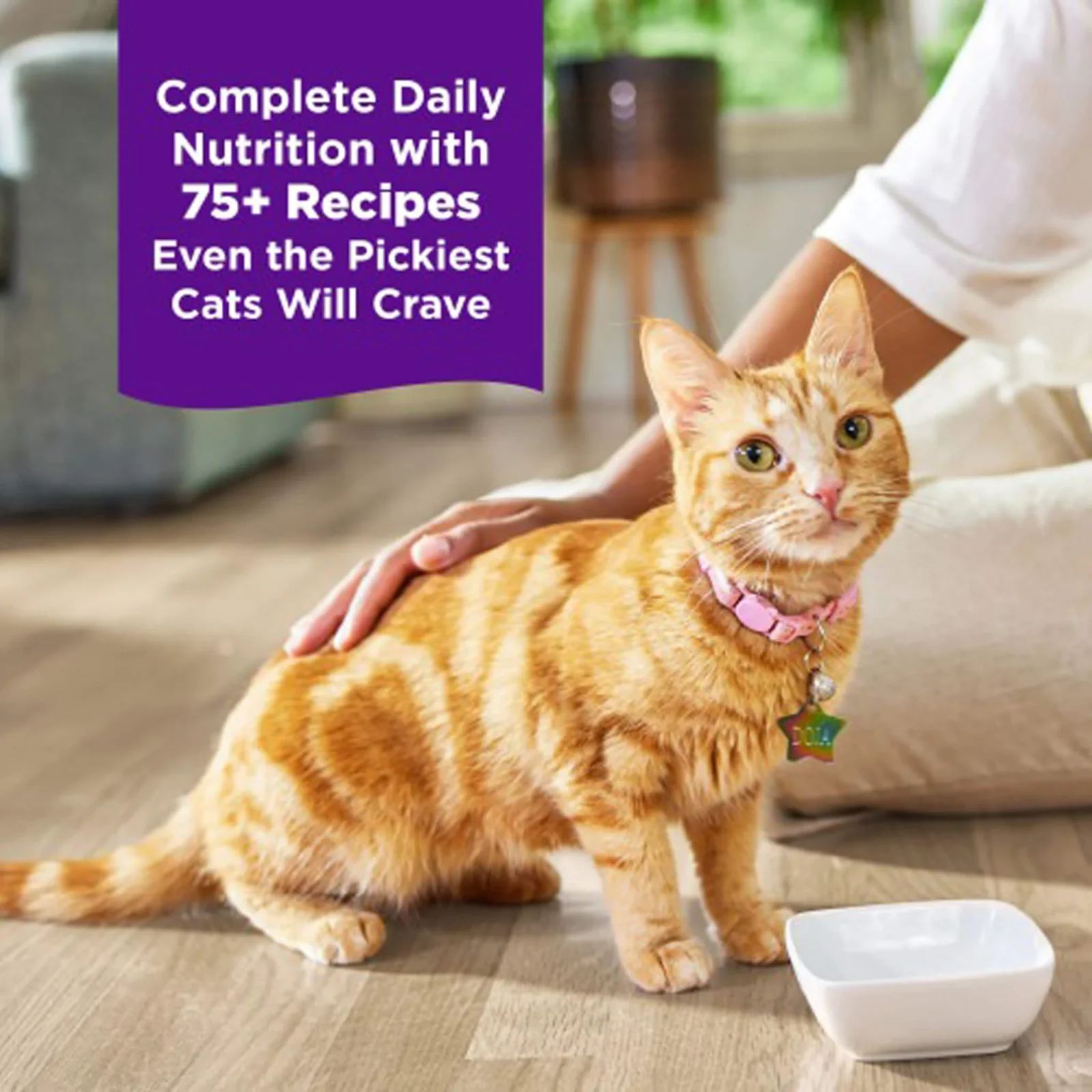 Wellness Complete Health Grilled Cuts in Sauce Wet Cat Food - Image 2