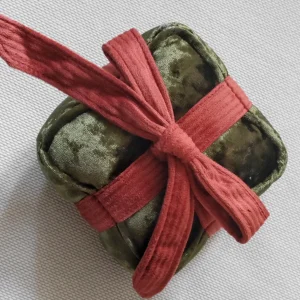 HOLIDAY BOX DOG TOY