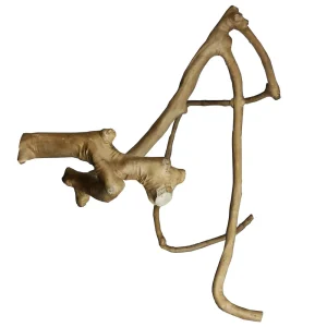 Multi-Branch - Large (26�x2.4�)