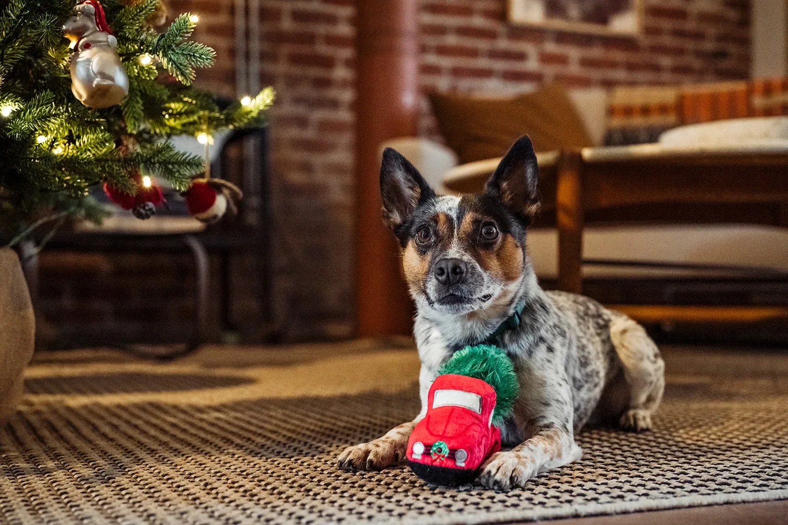 Merry Minis Holiday Hauler - Image 2