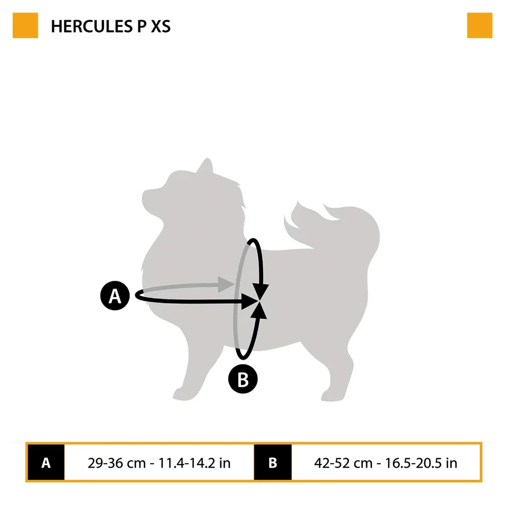 HERCULES P XS - Image 2