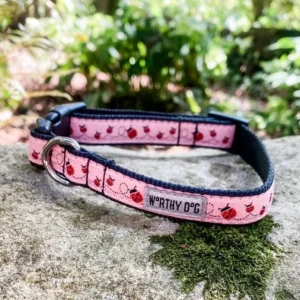 Ladybug Collar and Lead Collection