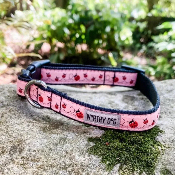 Ladybug Collar and Lead Collection