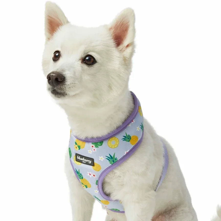 Zesty Purple Pineapple Harness - Image 2
