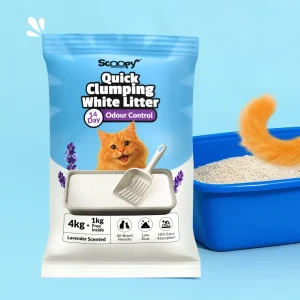 Scoopy Cat Litter | Lavender Scented | Quick Clumping | 100% Natural Bentonite White Sand