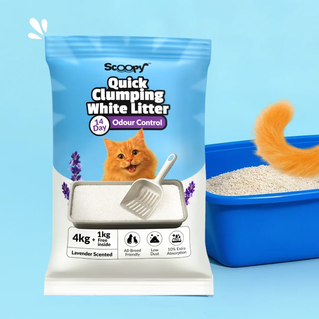 Scoopy Cat Litter | Lavender Scented | Quick Clumping | 100% Natural Bentonite White Sand