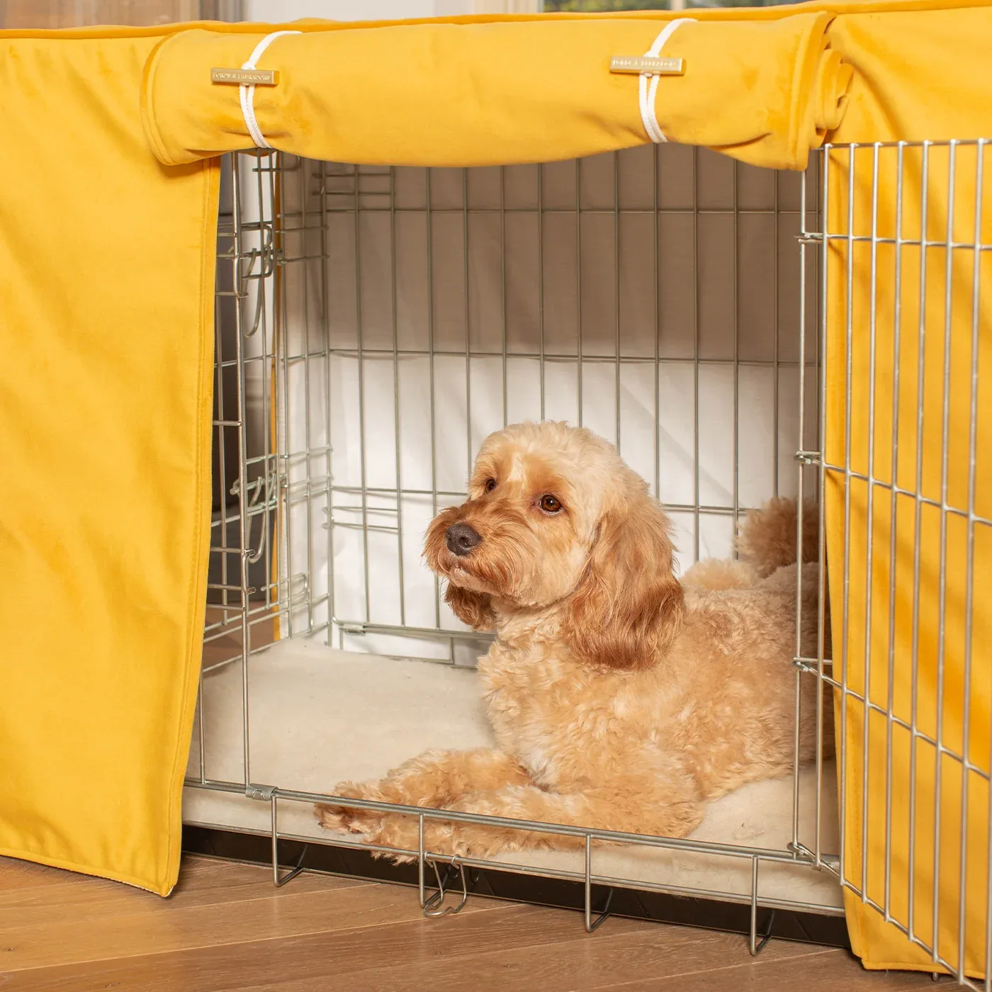 Dog Crate with Crate Cover in Saffron Velvet by Lords & Labradors