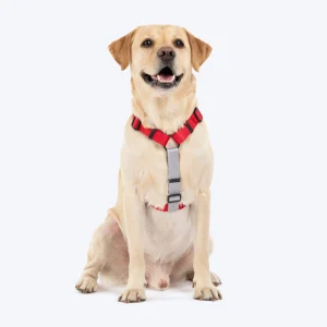 HUFT Classic H Harness for Dogs (Cherry Red)