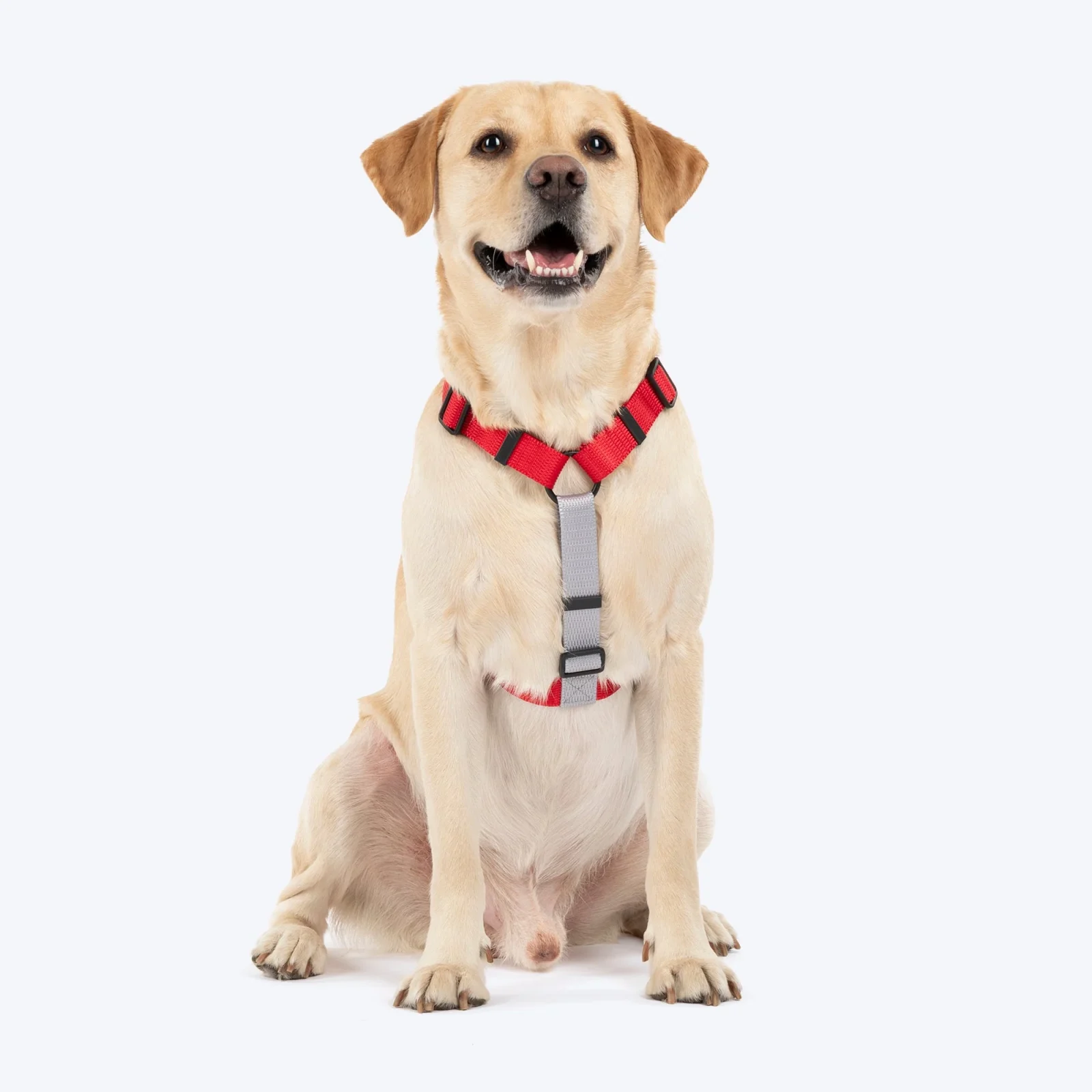 HUFT Classic H Harness for Dogs (Cherry Red)