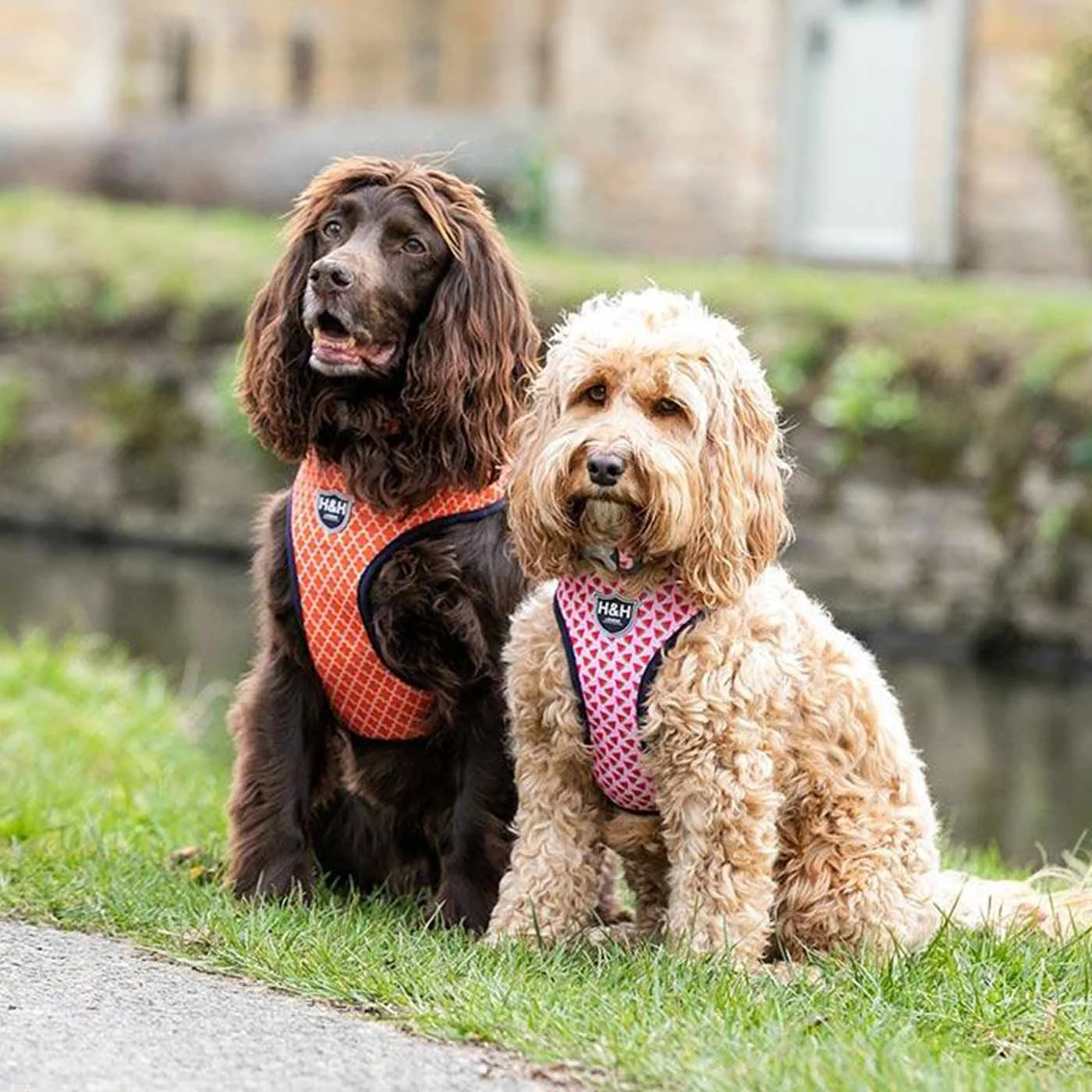 Hugo & Hudson Geometric Dog Harness