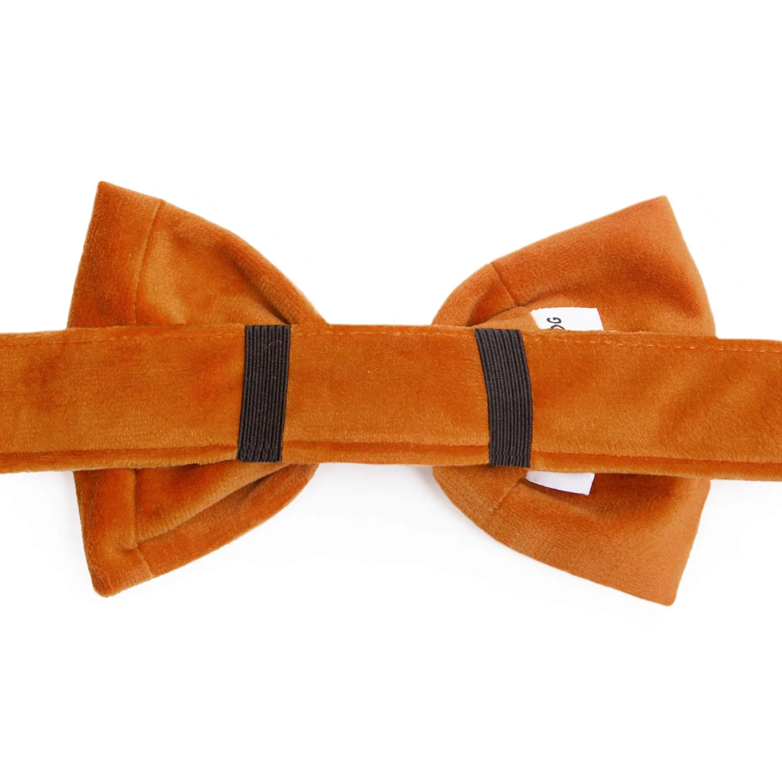 Pumpkin Velvet Bow Tie Collar - Image 2