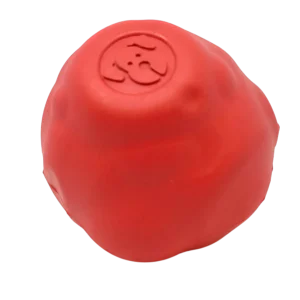 SN Asteroid Ultra Durable Rubber Chew Dog Toy
