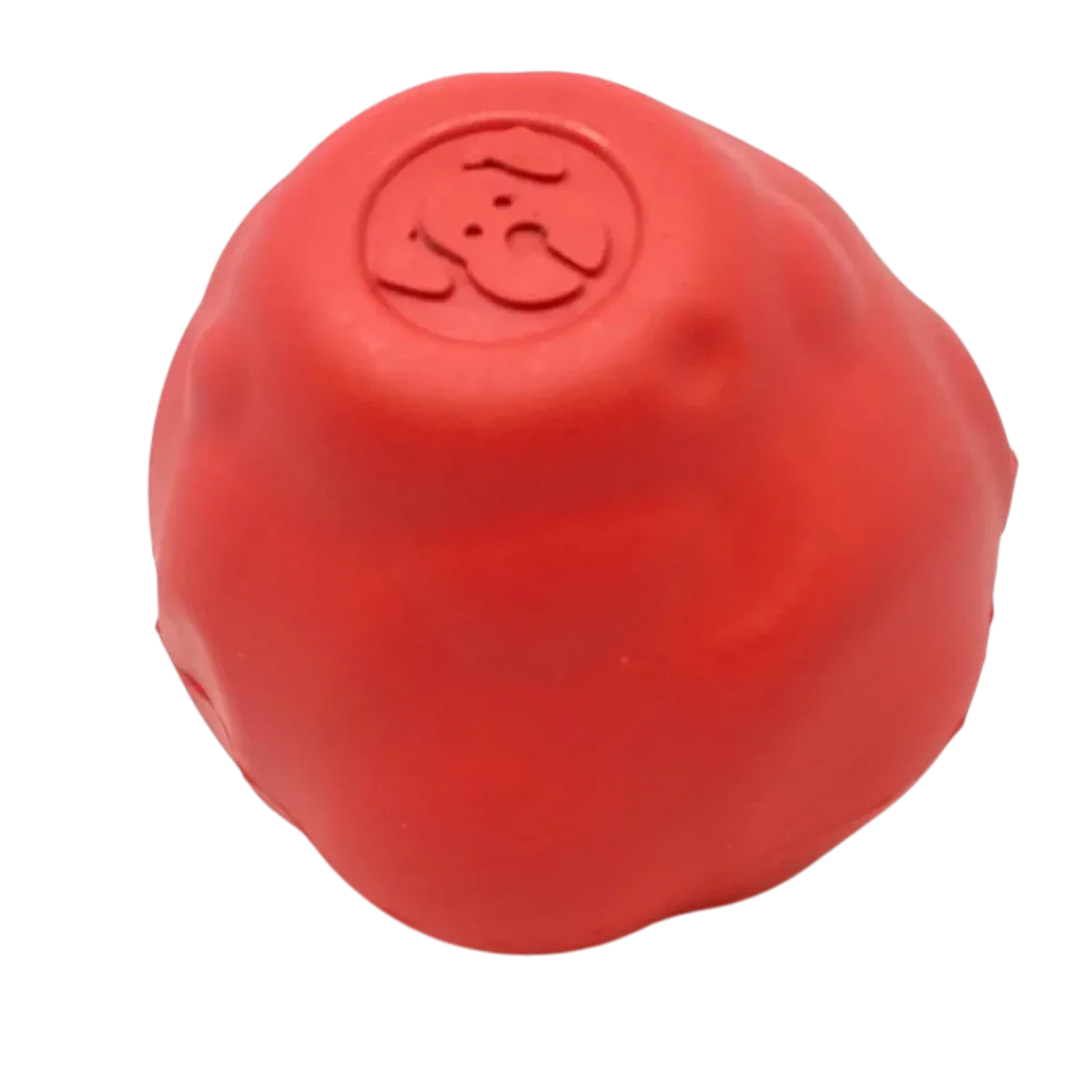 SN Asteroid Ultra Durable Rubber Chew Dog Toy