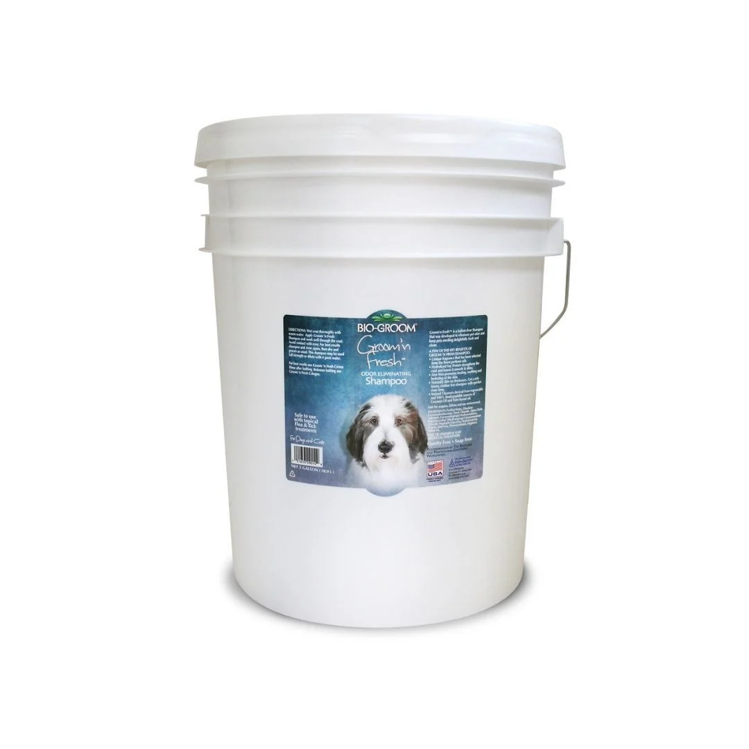 Bio-Groom Groom N Fresh Dog & Cat Shampoo, 5 Gallon Pail