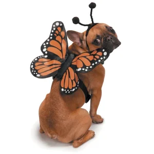 ZZ Butterfly NoGlow Dog Harness Costume M