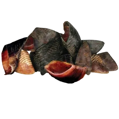 Hooves - Image 2