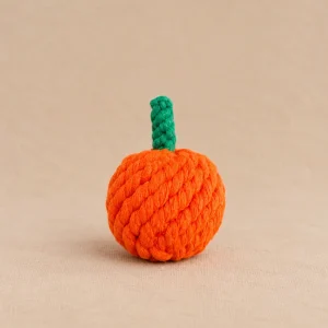 PUMPKIN ROPE DOG TOY